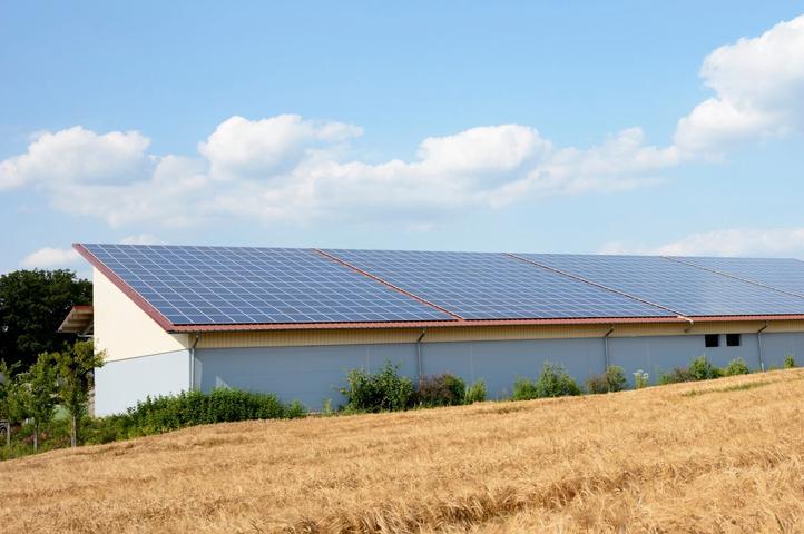 Energia solar na avicultura entenda as principais vantagens e invista nessa solução!